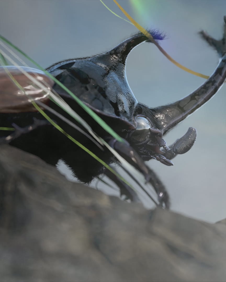 The Dream of Beetles — Music Video for Personal Project, 2026